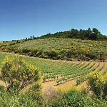 Stunning In Sur Vernazobre Dom wakacyjny Prades-sur-Vernazobre