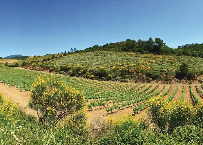 Stunning In Sur Vernazobre Tatil Evi Prades-sur-Vernazobre